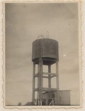 מחמור נושא מים לבאר הראשונה